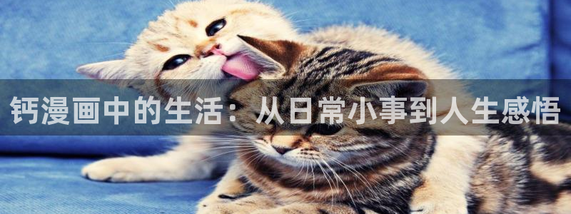 羞羞漫画免费漫画下载