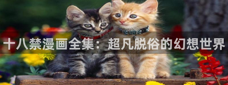 羞羞漫画版