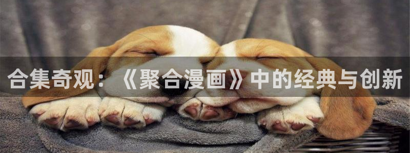 羞羞漫画直接进：合集奇观：《聚合漫画》中的经典与创新