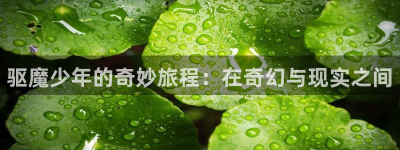 羞羞漫画免费漫画入口：驱魔少年的奇妙旅程：在奇幻与现实之间