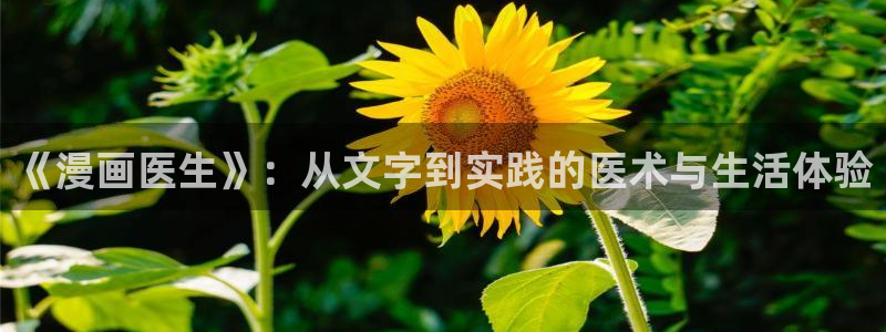 韩国美女羞羞漫画：《漫画医生》：从文字到实践的医术与生活体验