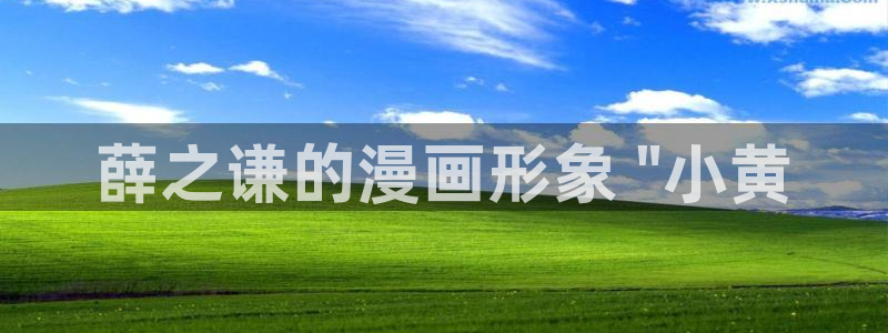 羞羞漫画免费看大全：薛之谦的漫画形象 \