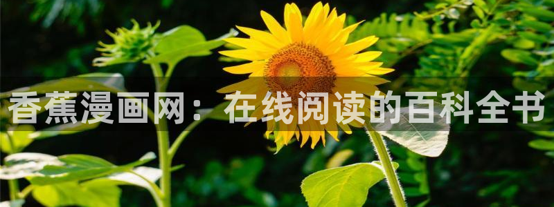 免费羞羞漫画.：香蕉漫画网：在线阅读的百科全书