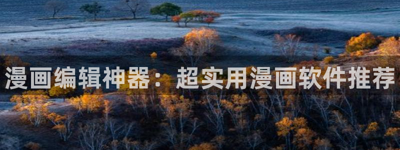 .羞羞漫画：漫画编辑神器：超实用漫画软件推荐