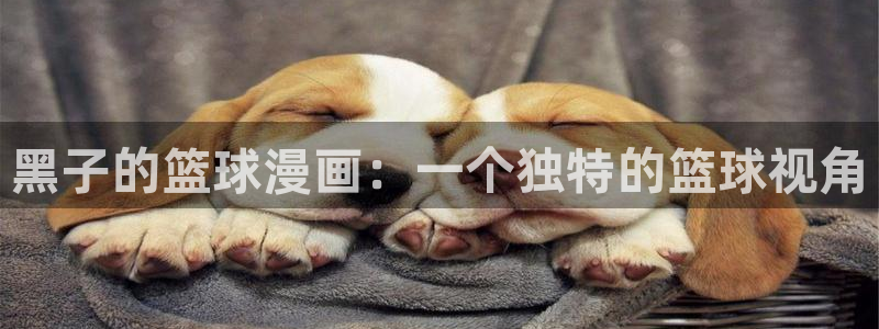 羞羞漫画视频免费：黑子的篮球漫画：一个独特的篮球视角