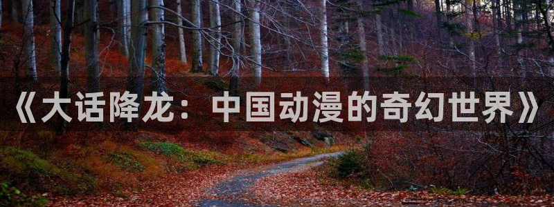 羞羞漫画深夜漫画韩日漫画：《大话降龙：中国动漫的奇幻世界》