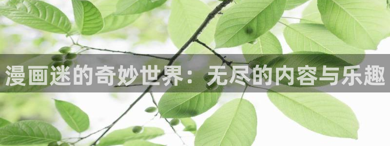 啪啪啪羞羞漫画：漫画迷的奇妙世界：无尽的内容与乐趣