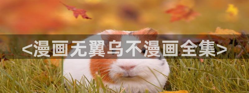 羞羞漫画在线免费下载：<漫画无翼乌不漫画全集>