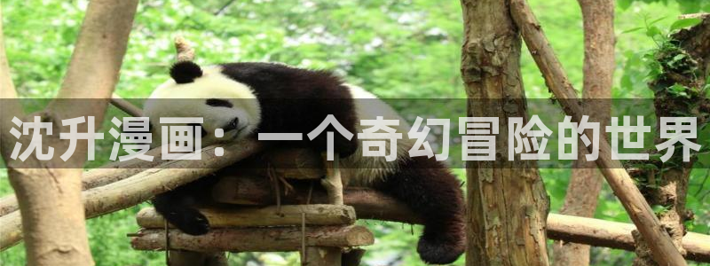 羞羞漫画首页登录入口免费：沈升漫画：一个奇幻冒险的世界