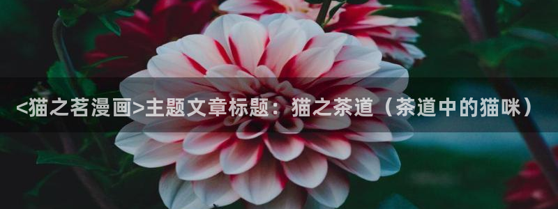羞羞漫画下载：<猫之茗漫画>主题文章标题：猫之茶道（茶道中的猫咪）