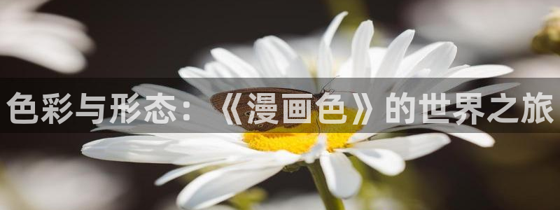羞羞漫画页面在线免费观看：色彩与形态：《漫画色》的世界之旅