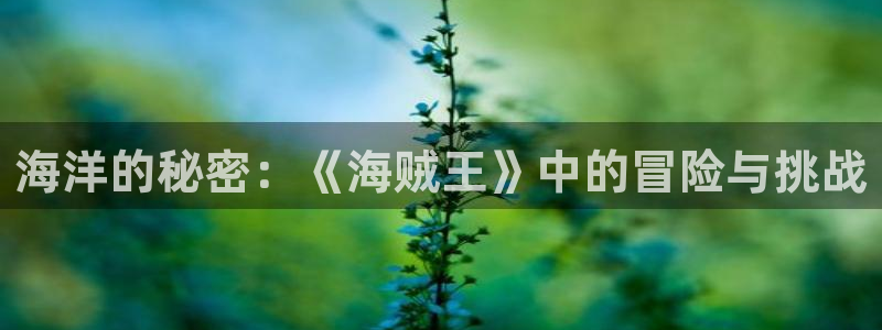 汗汗歪歪羞羞漫画：海洋的秘密：《海贼王》中的冒险与挑战