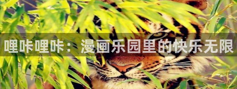 搞黄无遮挡羞羞漫画：哩咔哩咔：漫画乐园里的快乐无限