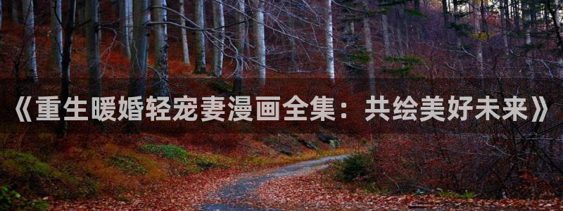 羞羞漫画官网在线：《重生暖婚轻宠妻漫画全集：共绘美好未来》